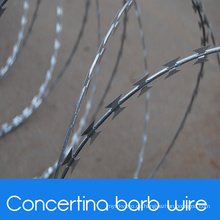 Militär Concertina Barb Wire